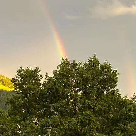 Schönblick Apartment *